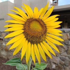 Meet your Posher, G.